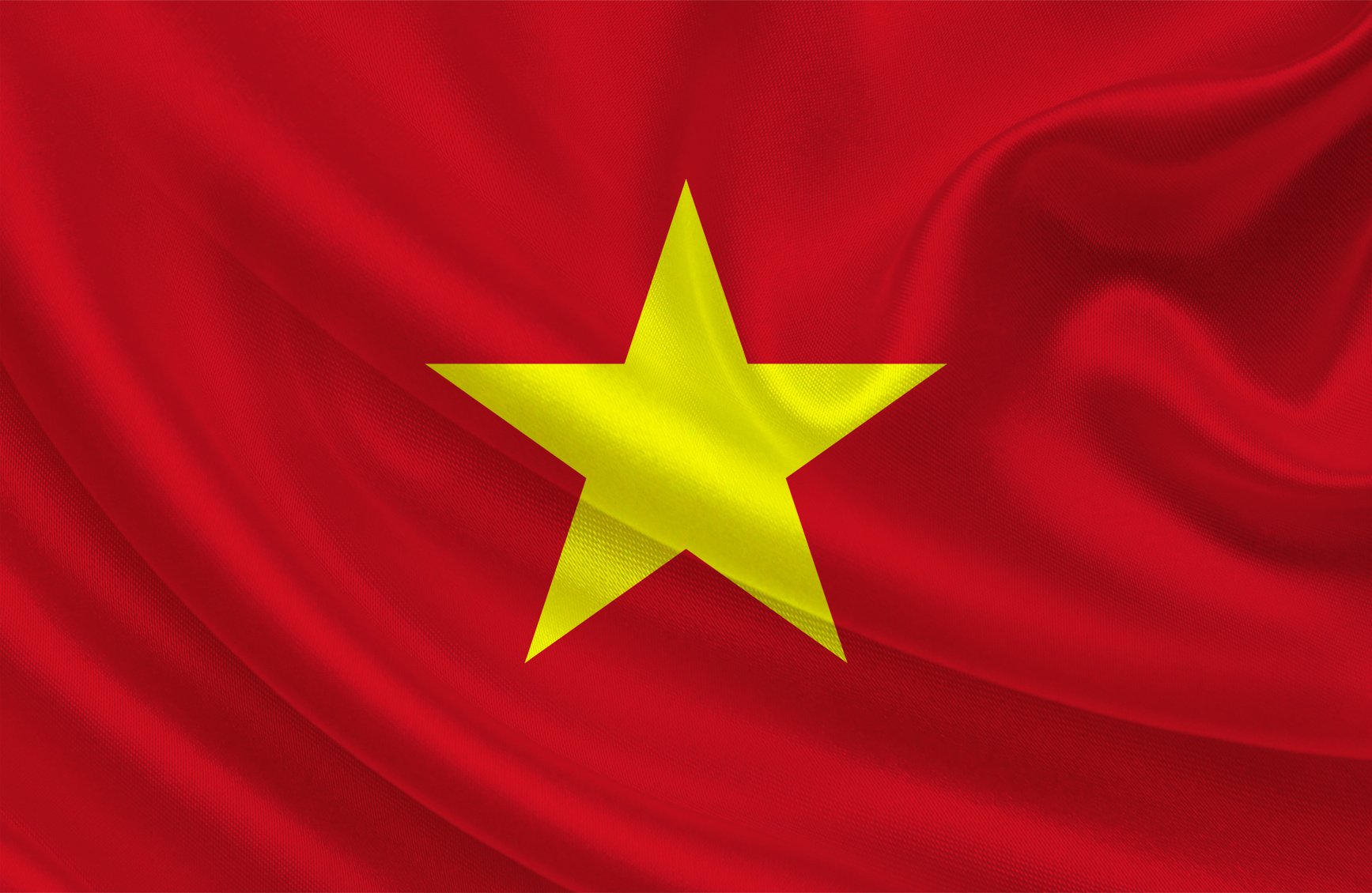 Vietnam flag